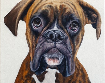 Boxer huisdier portret origineel olieverfschilderij