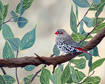 Red Eared Firetail origineel olieverfschilderij