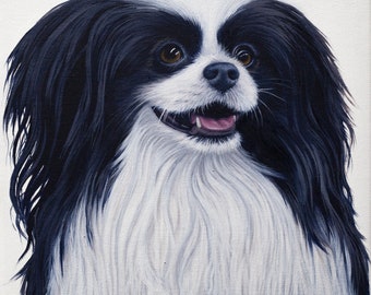Papillion huisdier portret origineel olieverfschilderij