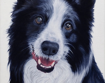 Border Collie huisdier portret origineel olieverfschilderij