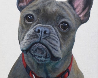 Origineel olieverfschilderij huisdierportret Franse bulldog