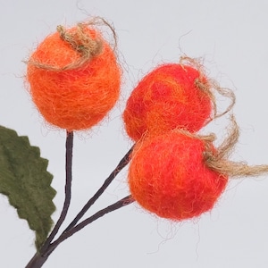 Rosehip branch made of felt – handmade autumn decoration | Felted rosehip branch, felt flower, natural decoration, branch for vase or wreath