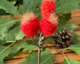 Felt rosehip branch – handmade autumn decoration | Felted rosehip branch, felt flower, natural decoration, branch for vase or wreath