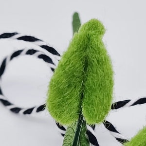 K&ouml;nnte beinhalten: Nahaufnahme eines hellgr&uuml;nen, flauschigen Blattes mit strukturierter Oberfl&auml;che. Das Blatt ist Teil eines Blumenarrangements, mit einer schwarz-wei&szlig;en, gedrehten Schnur im Hintergrund. Das Bild ist vor einem wei&szlig;en Hintergrund.