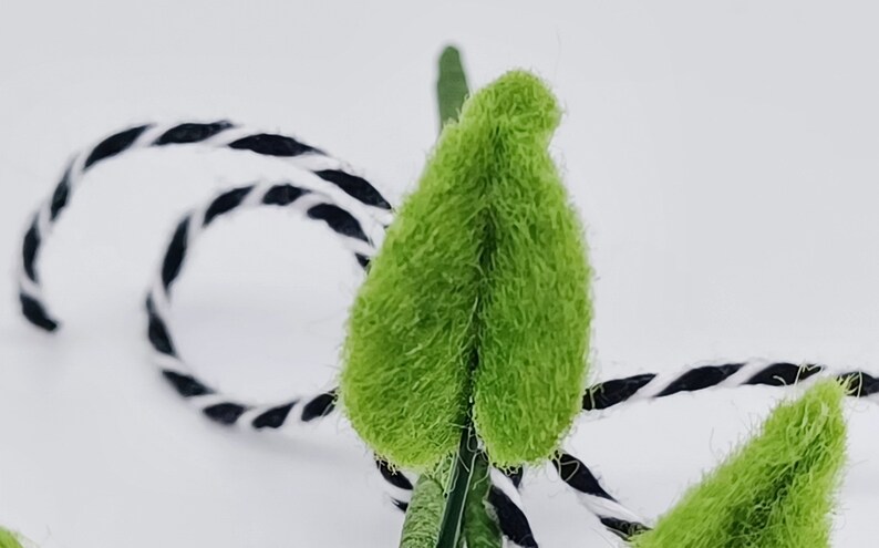 K&ouml;nnte beinhalten: Nahaufnahme eines hellgr&uuml;nen, flauschigen Blattes mit strukturierter Oberfl&auml;che. Das Blatt ist Teil eines Blumenarrangements, mit einer schwarz-wei&szlig;en, gedrehten Schnur im Hintergrund. Das Bild ist vor einem wei&szlig;en Hintergrund.