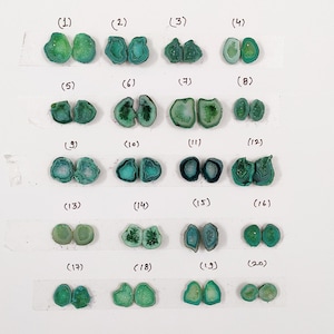 May include: Twenty green agate slices, each cut in half, are arranged in four rows of five. The agate slices are a light green color with darker green banding. Each slice is labeled with a number from 1 to 20.