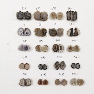 May include: Twenty agate slices, each cut in half, are arranged in four rows of five. The agate slices are various shades of brown, gray, and white, with some having a crystalline texture. The slices are numbered 1 through 20.