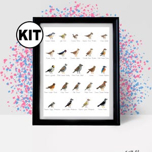 Puede incluir: Un estampado enmarcado que presenta ilustraciones de varias aves, cada una etiquetada con su nombre. La obra de arte muestra diversas especies de aves en un estilo colorido y detallado, sobre un fondo blanco. El marco es negro, y la palabra "KIT" está en un círculo en la esquina superior izquierda.
