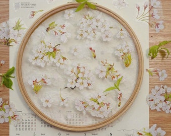 Spring Sakura PET Tape, Flower Washi/Clear Tape, Kawaii Stickers, Junk Journal Kit for Planner, Scrapbook| JYS-08
