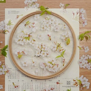 Lente Sakura PET-tape, washi/Clear-tape bloemen, kawaii-stickers, rommeldagboekkit voor planner, plakboek | JYS-08