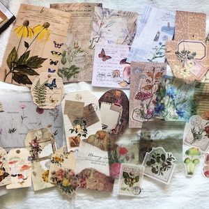 Kit de adesivos de vinil para scrapbook com coleção de natureza de 27 peças, rótulos e etiquetas de plantas, kit de diário de lixo, pacote de itens efêmeros, AL151