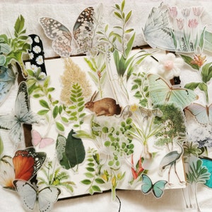Kit de diário de lixo de plantas 51 peças, pacote de adesivos de scrapbook de borboletas, pacote de diário de papel velino da natureza, pacote de itens efêmeros, Rabit002