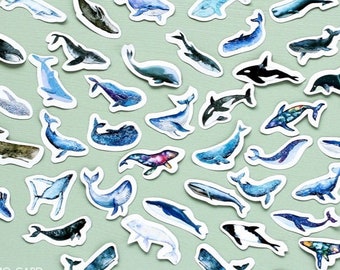 45pcs Stickers for Journal, Whale Cute Stickers, Sea Fish Aesthetic Stickers,  Funny Bumper Sticker, Animal Stickers