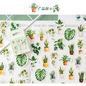 45 stuks stickers voor dagboek, schattige groene plantenstickers, Monstera deliciosa stickerpakket, grappige bumpersticker