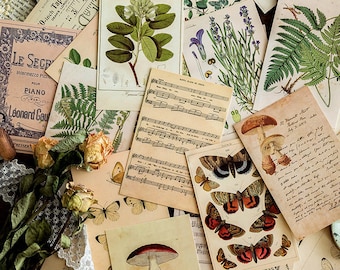 30 cartes postales botaniques, kit de journaux indésirables, carte de voeux, nature, papillon, champignon, plantes, AL002