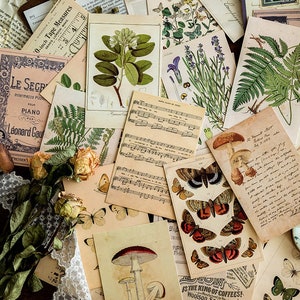 Postal botánica de 30 piezas, kit de diario basura, tarjeta de felicitación, naturaleza, mariposa, setas, plantas, AL002