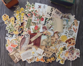 Antique Die Cuts Pansies Original Vintage Die Cuts for Scrapbooking 19th Century Paper Ephemera Lot