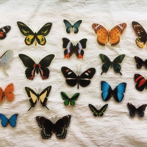 Paquete de 40 pegatinas de mariposa, pegatinas decorativas, kit para diario basura, Bullet Journal, AL166