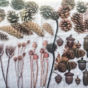 Pacote de adesivos decorativos de cone de coníferas, 20 peças, kit de diário de lixo, kit diy de cartão de aniversário, adesivos transparentes, al337