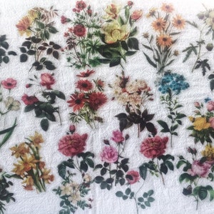 Pacote de adesivos de scrapbook de flores de vinil com 40 peças, kit de diário de lixo floral, adesivos de diário de plantas, pacote de adesivos transparentes efêmeros, AL130