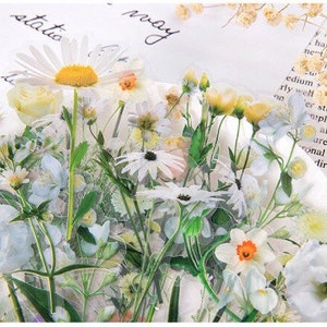 Lot de 40 autocollants marguerites blanches, autocollants imperméables, autocollants déco, Bullet Journal, Junk Journal, AL181