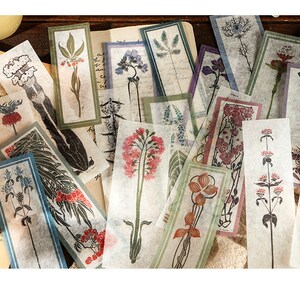 40 stuks bloemillustratiestickers, stickerpakket, collagekit, junkjournaal, vinylplantdecosticker, ephemera-pakket