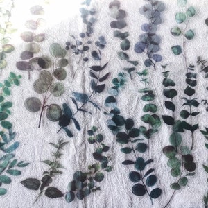 40 stuks eucalyptusstickers, kit voor junkjournal, planten bulletjournalstickers, AL078