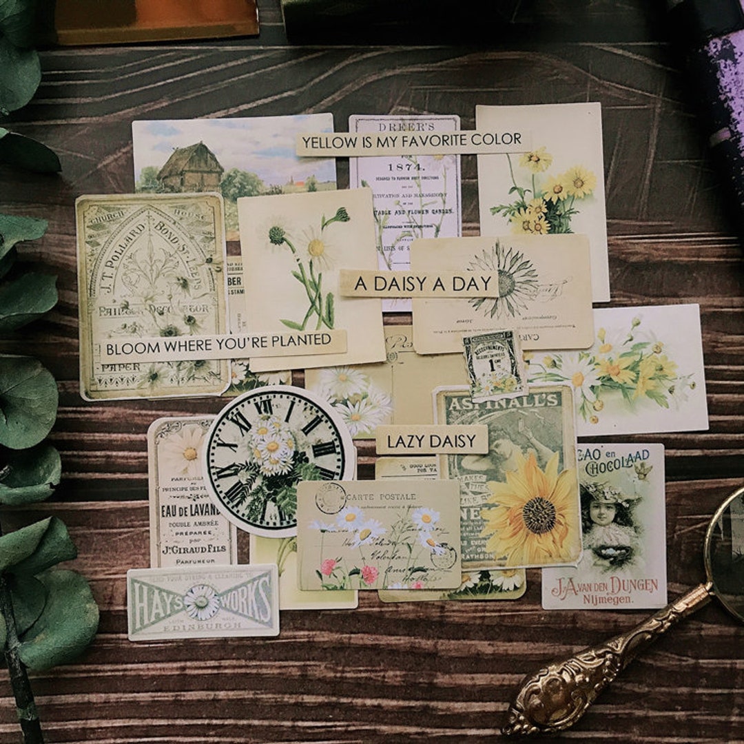 23 sztuki zestaw naklejek winylowych Daisy Scrapbook, zestaw