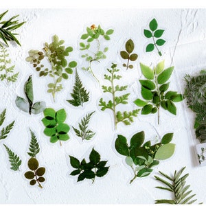 Pacote de adesivos de scrapbook de 40 peças de plantas, adesivos de diário de bala de vinil, adesivos transparentes de folhas para diário de lixo, scrapbook, AL092