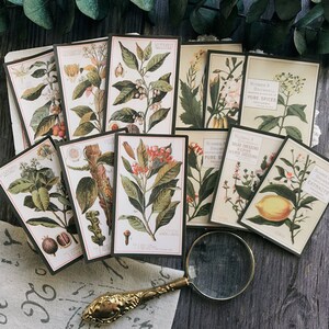 Fern fotoalbumstickerspakket, Junk Journal-kit, plakboek Ephemera, ZX050
