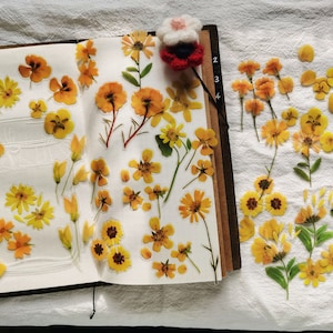 Paquete de 41 pegatinas de flores amarillas, pegatinas decorativas, pegatinas para Bullet Journal, AL419