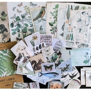 Kit de 36 pegatinas de vinilo para diario de naturaleza, con diseño de hongos y mariposas, para álbumes de recortes, paquete de efímeras botánicas vintage, AL003