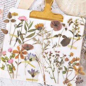 Pacote de adesivos de flores silvestres com 40 peças, adesivos decorativos, adesivos de diário com marcadores, AL163