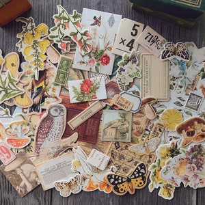 Kit de 53 piezas de papel para álbum de recortes botánico, kit de diario basura con pájaros y flores, paquete de efímeras, papel decorativo, ZX019