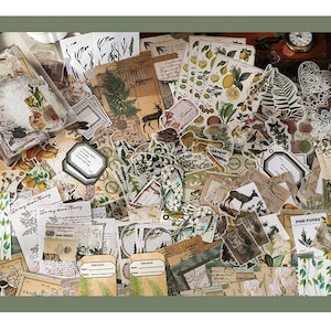 Kit de diário de lixo natural de 260 peças, etiquetas, adesivos decorativos de plantas, papel decoupage, itens efêmeros, folhas botânicas, samambaia, renda, AL756-3