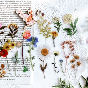 40 Stück Nachmittag Blumen Scrapbook Sticker Pack, Vinyl Bullet Journal Sticker, Floral Clear Stickers für Junk Journal,Scrapbook,AL004