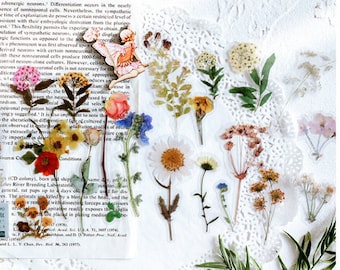 Può includere: Un foglio di adesivi trasparenti con fiori e foglie pressati. Gli adesivi presentano una varietà di fiori in tonalità di rosa, bianco, giallo e marrone, oltre a foglie verdi.