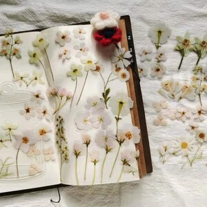 Paquete de 41 pegatinas blancas, pegatinas para Bullet Journal, pegatinas decorativas, kit para diario basura