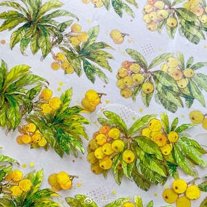 Loquat Fruit PET-tape, washi/transparante tape, kawaiistickers, junkjournaalkit voor planner, plakboek | JYS-07