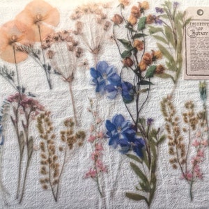 Paquete de pegatinas decorativas de flores secas de otoño de 20 piezas, kit de diario basura, kit de bricolaje de tarjeta de aniversario, pegatinas transparentes, AL010