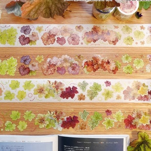 PET-tape herfstplanten, washi/transparante tape, kawaiistickers, rommeldagboekkit voor planner, plakboek | Heuchera, koraalklok, JYS-10