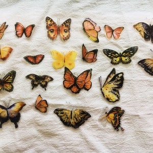Pacote com 40 adesivos de borboleta, adesivos decorativos, kit de diário de lixo, diário de marcadores, AL072