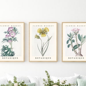 Set of 3 Flower Market Prints, Botanical Wall Art, Gallery Wall Set, Flower Poster, Digital Download, Flower Market, Printable Wall Art Set