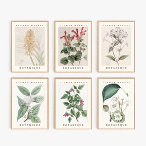 Set of 6 Flower Market Prints, Botanical Wall Art, Gallery Wall Set, Flower Poster, Digital Download, Flower Market, Printable Wall Art Set