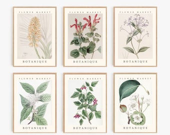 Botanical Flower Market Print Set, Gallery Wall Art (Digital Download)