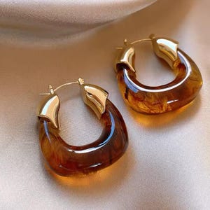 Trendy Transparent Resin Geometric Irregular Brown and Clear Acrylic Hoop Earrings