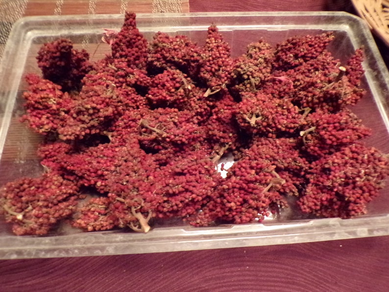 3 Natural Dried Sumac Pods Etsy