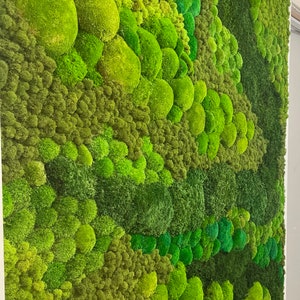 Moss Art, Real Preserved moss wall art, Moss home decor, Real Moss Decor, Moss Art Work, Living wall, Large home decor, No care wall art, image 6