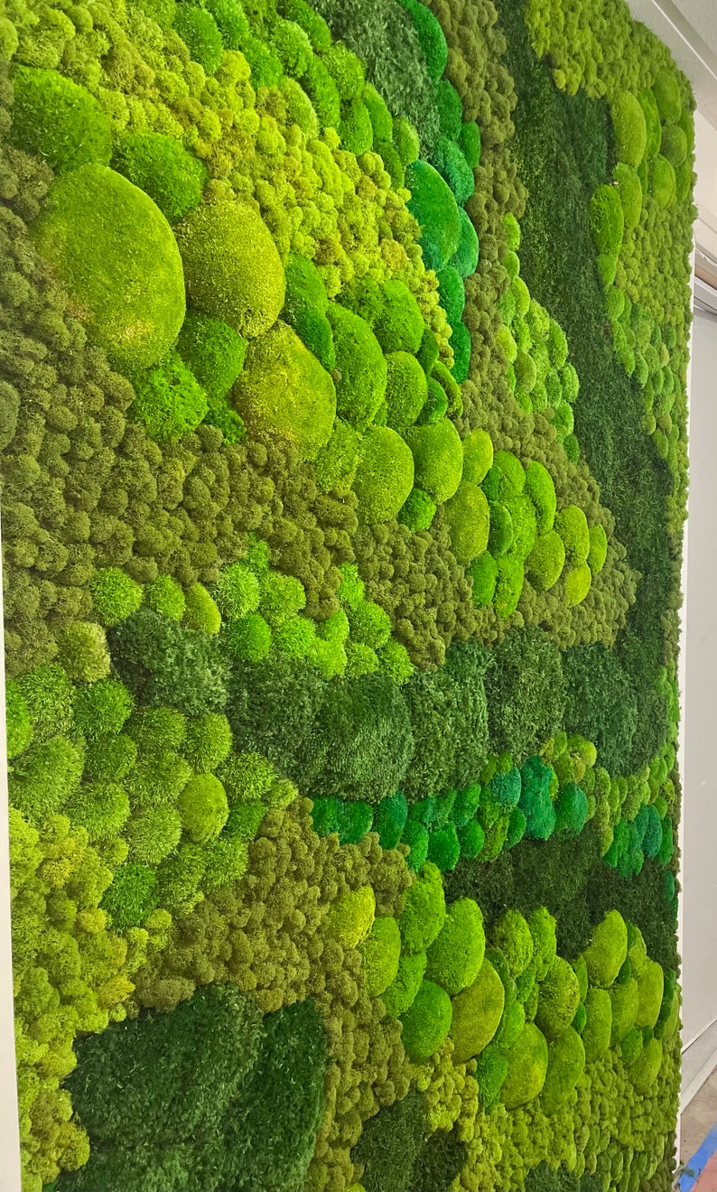 Moss Art, Real Preserved moss wall art, Moss home decor, Real Moss Decor, Moss Art Work, Living wall, Large home decor, No care wall art, image 6