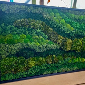 Moss Art, Real Preserved moss wall art, Moss home decor, Real Moss Decor, Moss Art Work, Living wall, Large home decor, No care wall art,
